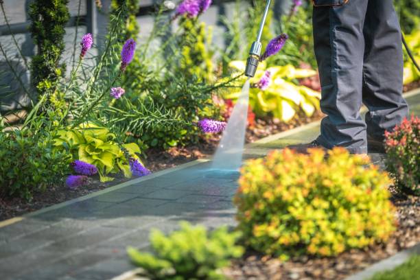 Best Fence Cleaning and Maintenance in Kingsley, IA