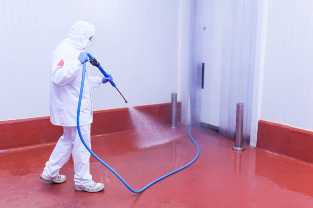 Best Graffiti Removal Services in Kingsley, IA