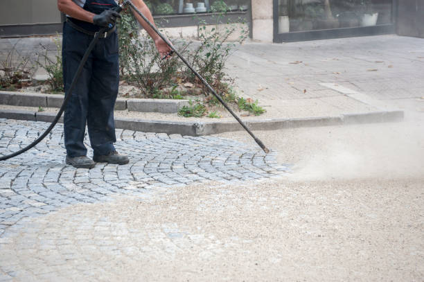 Best Soft Washing for Delicate Surfaces in Kingsley, IA
