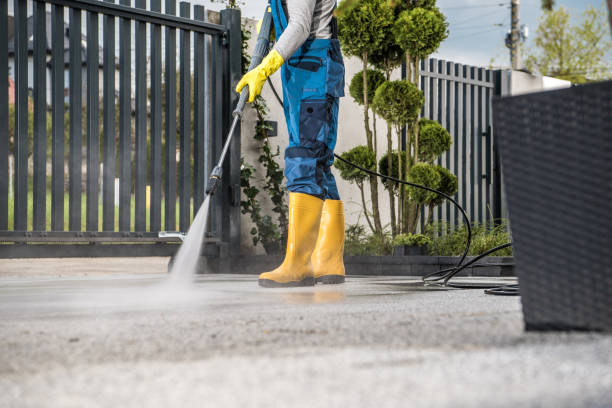 Best Roof Cleaning and Mildew Removal in Kingsley, IA