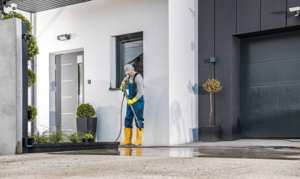 Best Window and Screen Pressure Cleaning in Kingsley, IA